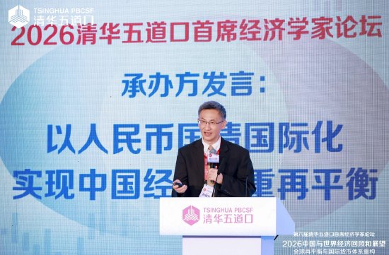 鞠建东：对外发行10万亿元人民币国债，可实现三重再平衡